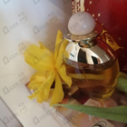 Отзыв Bill Blass Nude