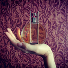 Отзыв Bogart Che By Chevignon