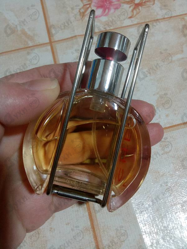 Купить Che By Chevignon от Bogart