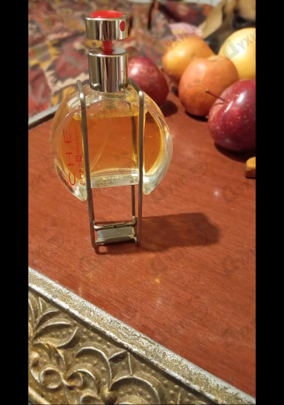 Купить Bogart Che By Chevignon