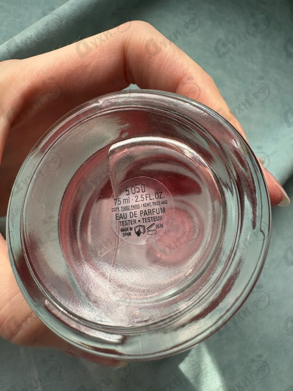 Купить Femme от Hugo Boss