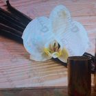 Отзывы Hugo Boss Hugo Deep Red