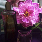 Отзывы Hugo Boss Hugo Pure Purple