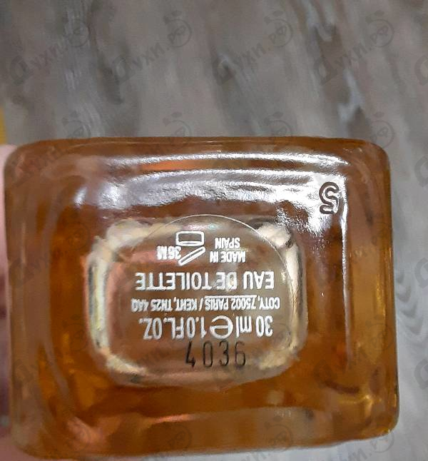 Купить Hugo Boss Orange