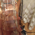 Отзывы Hugo Boss Orange