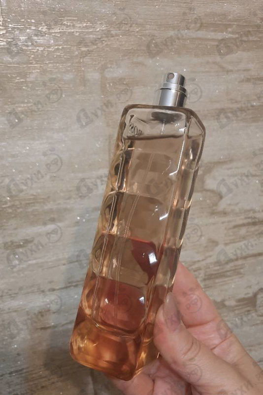 Купить Hugo Boss Orange