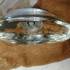 Отзывы Hugo Boss Woman