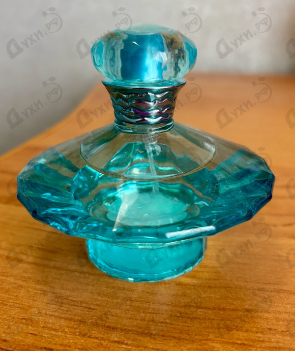 Купить Curious от Britney Spears