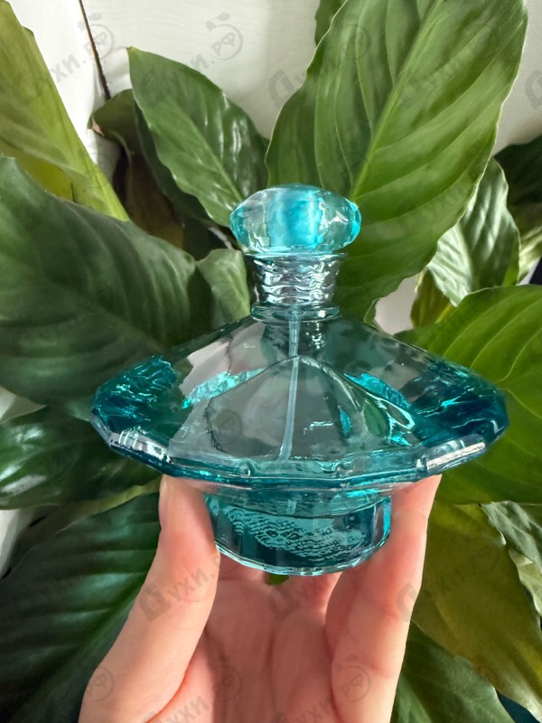 Купить Curious от Britney Spears