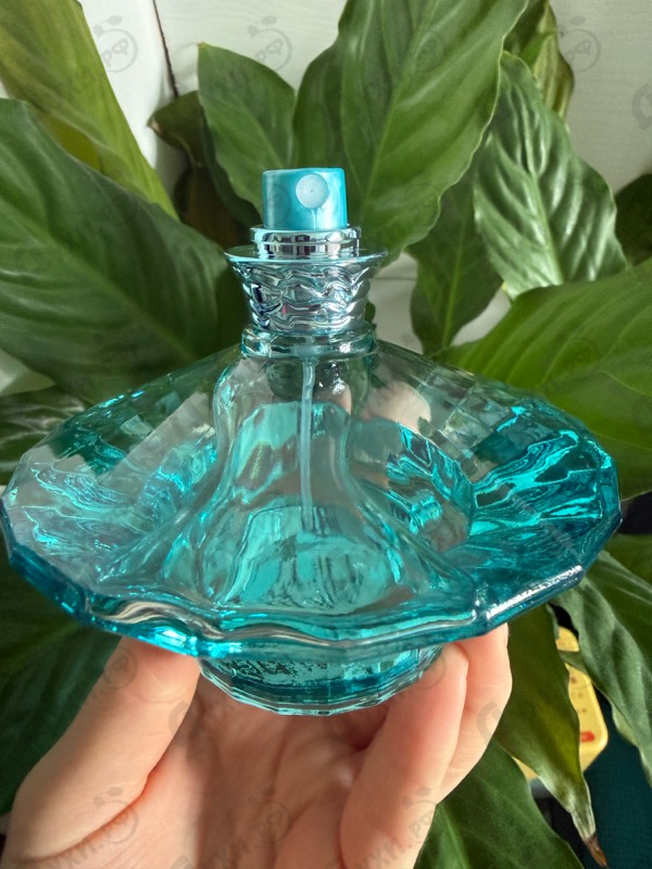 Купить Curious от Britney Spears