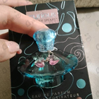 Отзывы Britney Spears Curious