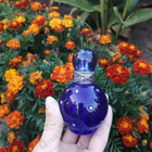 Отзыв Britney Spears Midnight Fantasy