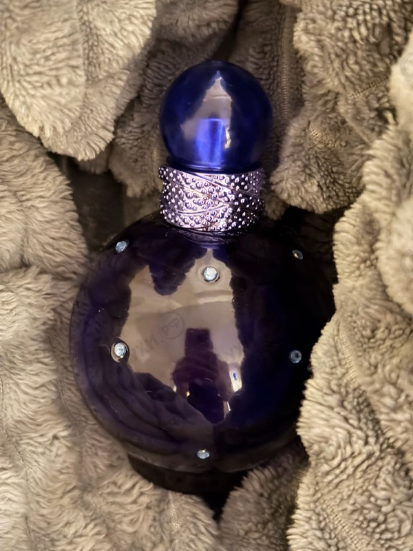 Купить Midnight Fantasy от Britney Spears