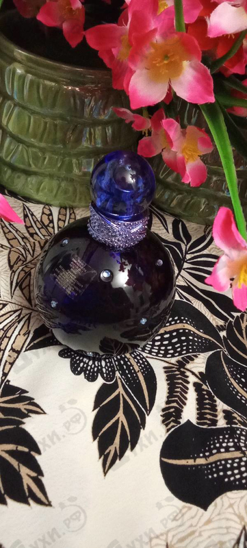 Купить Midnight Fantasy от Britney Spears