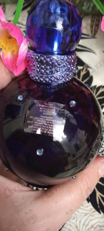 Купить Midnight Fantasy от Britney Spears