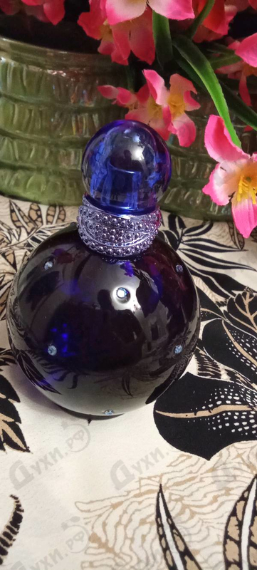 Парфюмерия Midnight Fantasy от Britney Spears