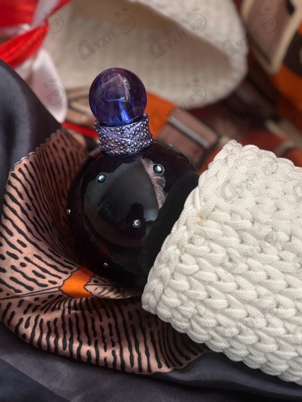 Купить Midnight Fantasy от Britney Spears