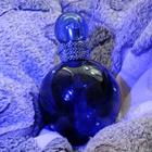 Отзыв Britney Spears Midnight Fantasy