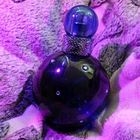 Отзывы Britney Spears Midnight Fantasy