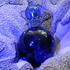 Отзыв Britney Spears Midnight Fantasy Парфюмерия Midnight Fantasy от Britney Spears