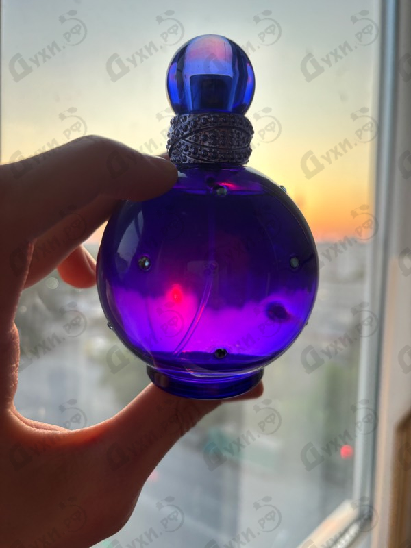 Парфюмерия Midnight Fantasy от Britney Spears