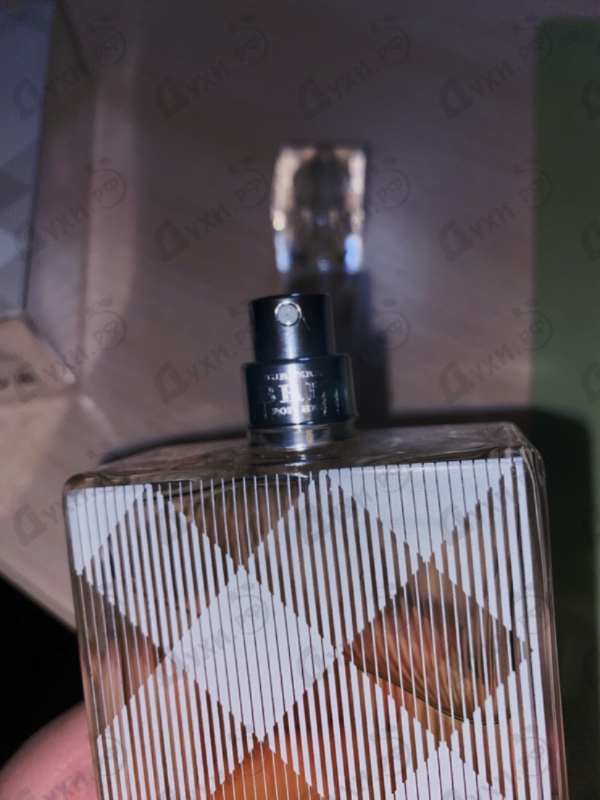 Купить Brit от Burberry