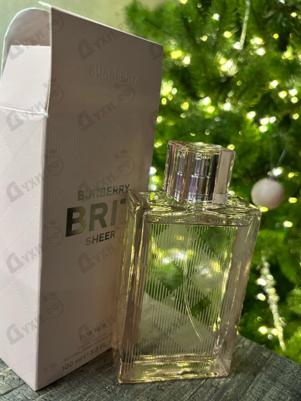 Купить Brit Sheer от Burberry