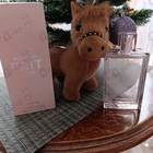Отзыв Burberry Brit Sheer
