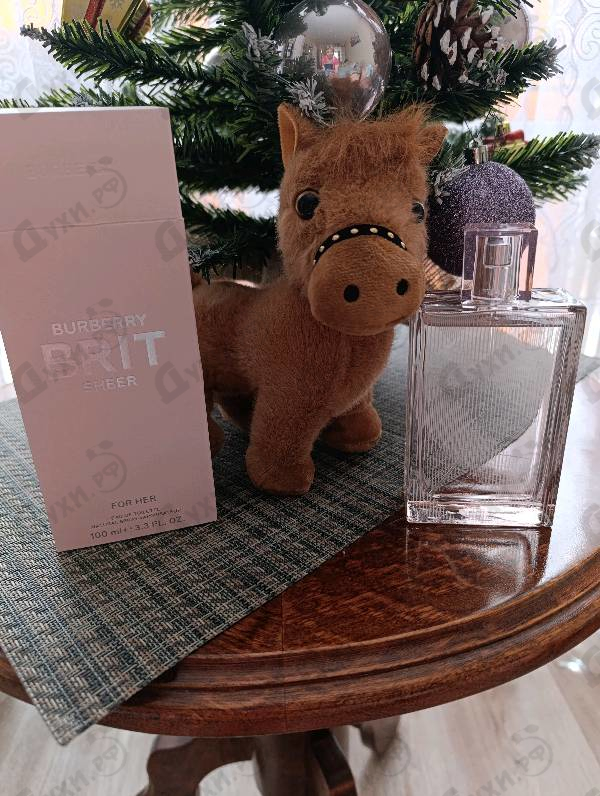 Купить Burberry Brit Sheer