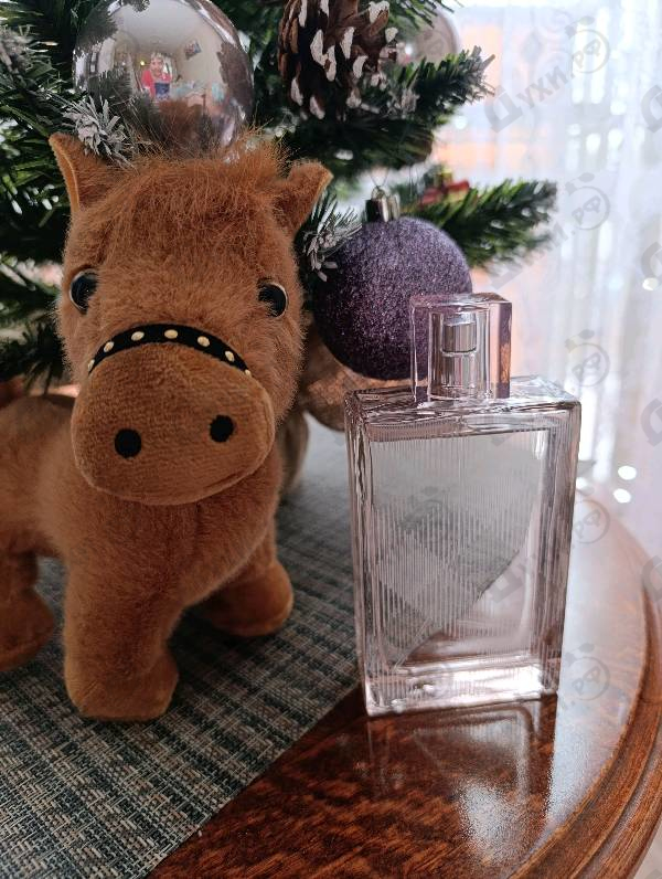 Парфюмерия Brit Sheer от Burberry