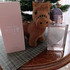 Купить Burberry Brit Sheer