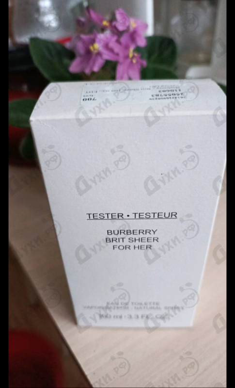 Купить Brit Sheer от Burberry