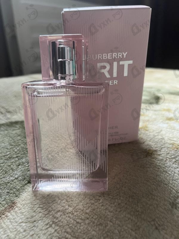 Купить Burberry Brit Sheer