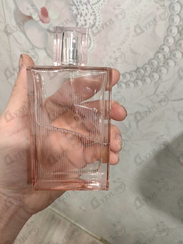 Купить Brit Sheer от Burberry