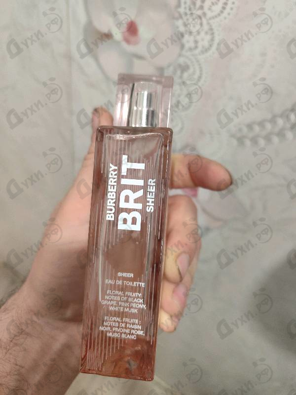 Парфюмерия Brit Sheer от Burberry