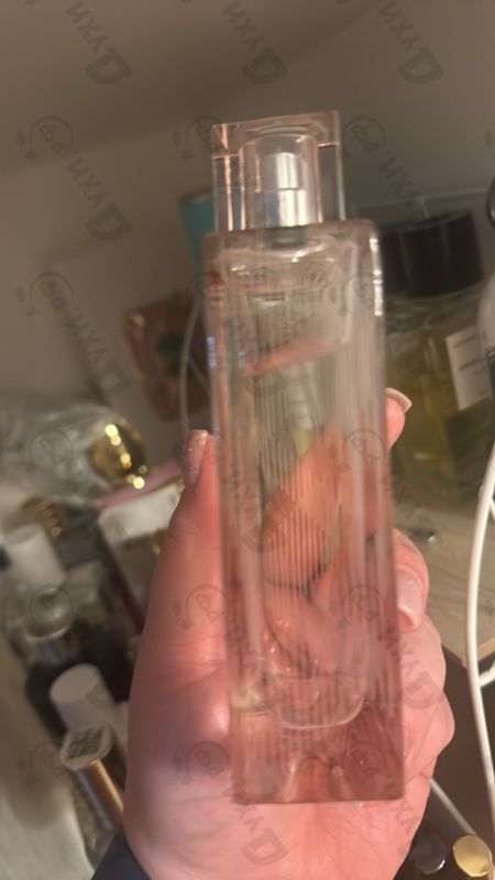 Купить Brit Sheer от Burberry