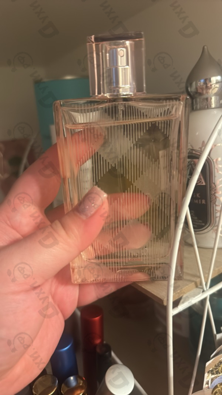 Купить Brit Sheer от Burberry