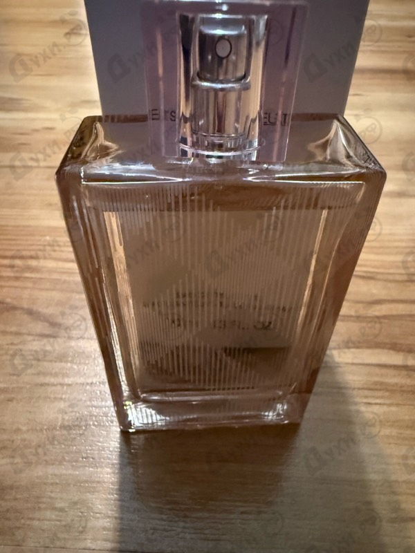 Купить Brit Sheer от Burberry