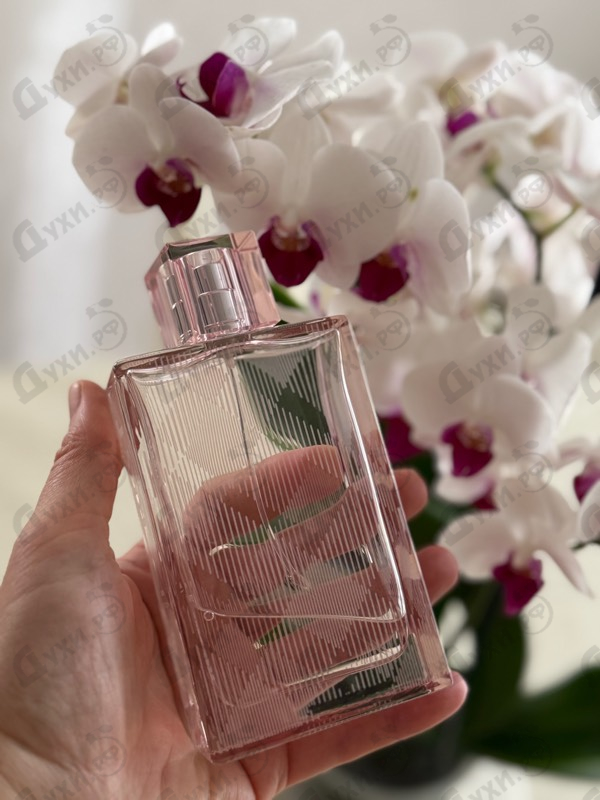 Купить Brit Sheer от Burberry