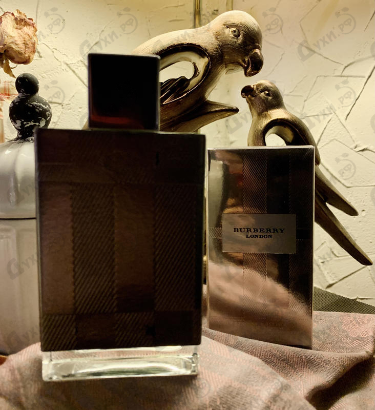 Купить Burberry London Special Edition