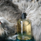 Отзывы Burberry Weekend