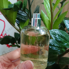 Отзыв Burberry Weekend