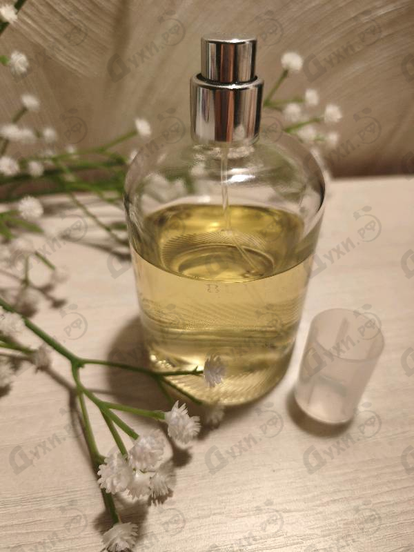 Купить Weekend от Burberry