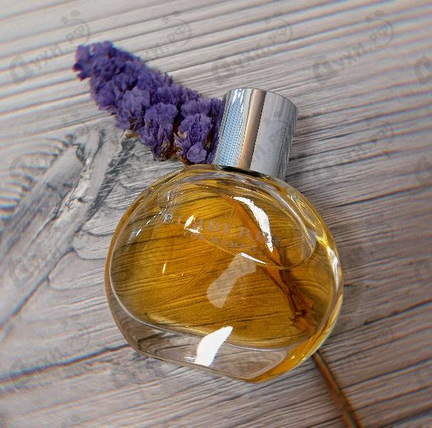 Купить Burberry Women