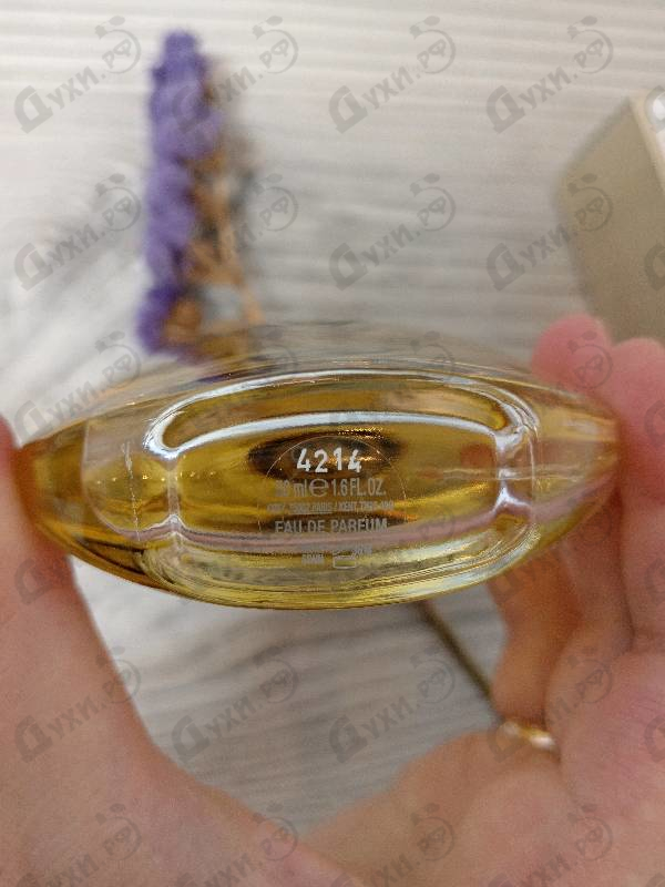 Купить Burberry Women