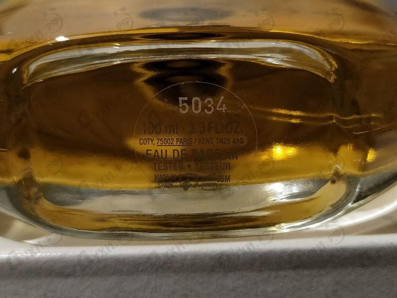 Отзыв Burberry Women