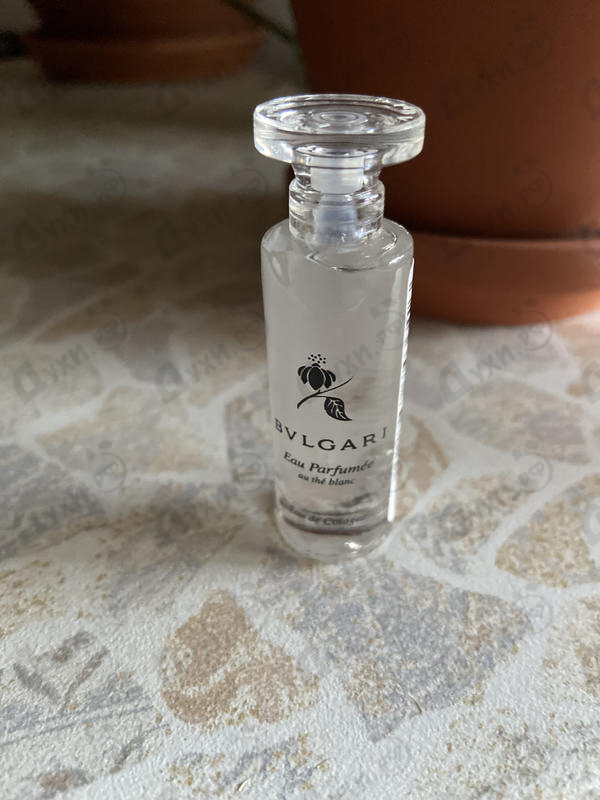 bvlgari au the blanc