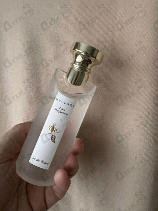Купить Au The Blanc от Bvlgari