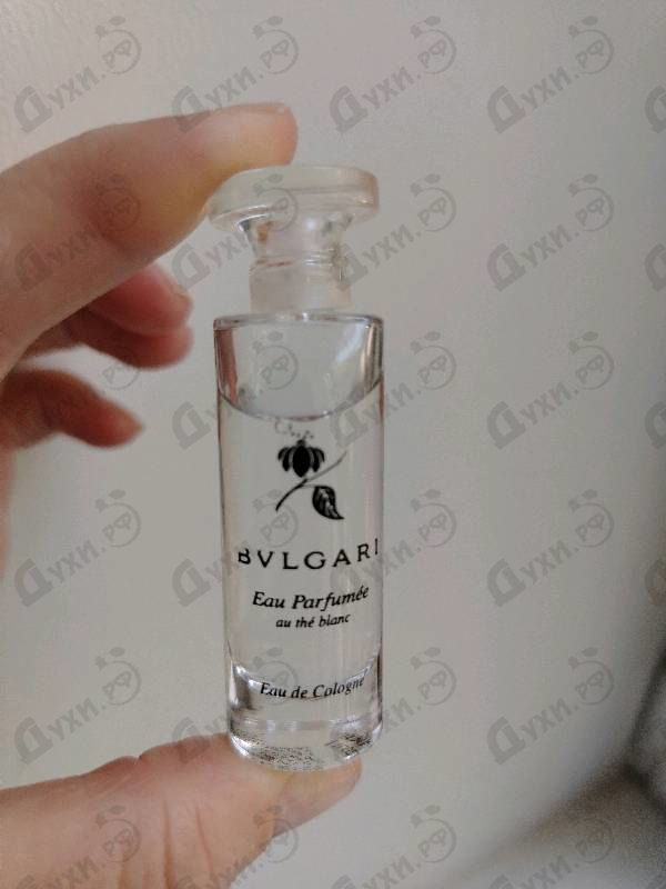 Купить Bvlgari Au The Blanc