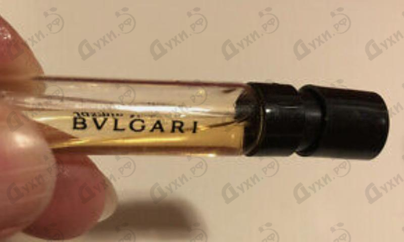 Купить Jasmin Noir от Bvlgari